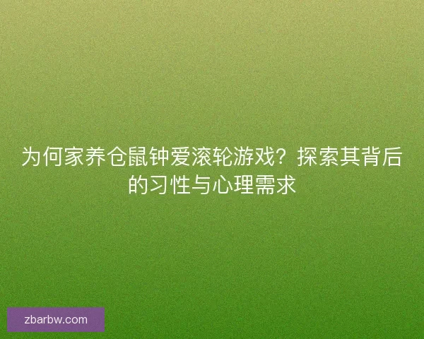 为何家养仓鼠钟爱滚轮游戏？探索其背后的习性与心理需求