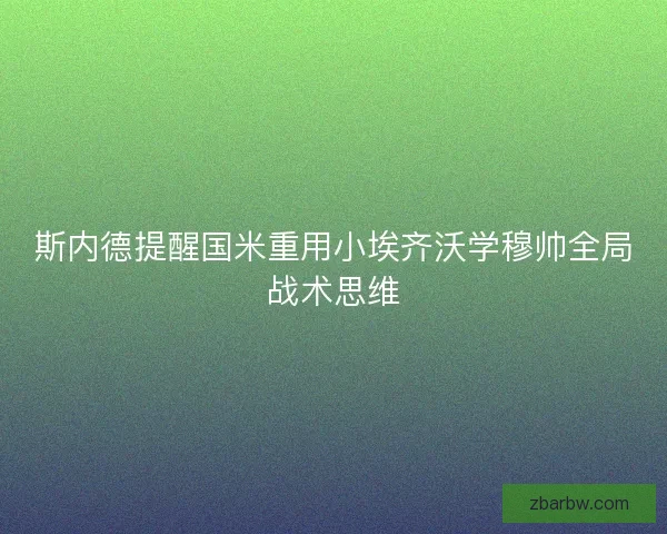 斯内德提醒国米重用小埃齐沃学穆帅全局战术思维